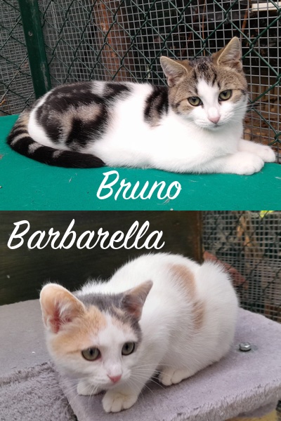Bruno e Barbarella